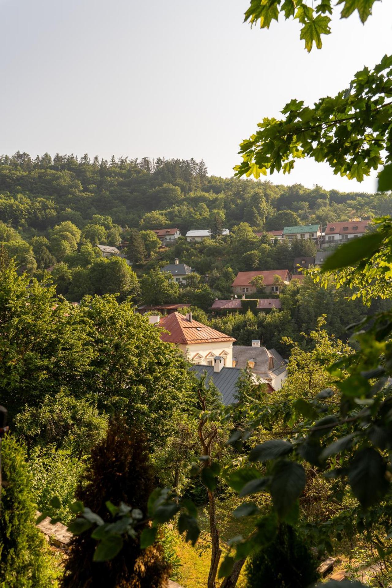 Penzion Prijemny Oddych Banska Stiavnica Luaran gambar